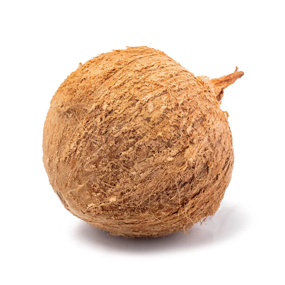 Old Coconut EACH