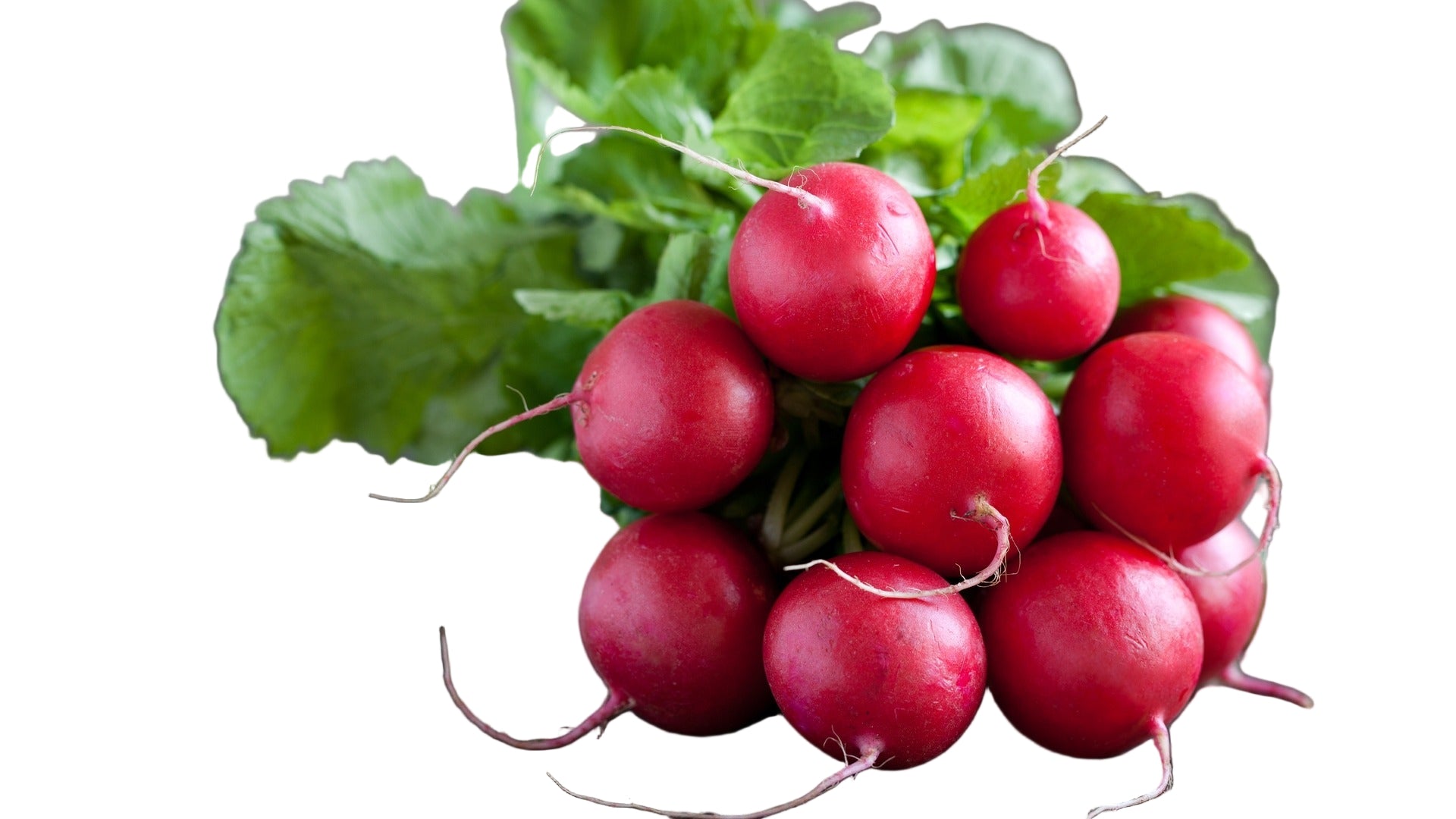 Red Radish Bunch