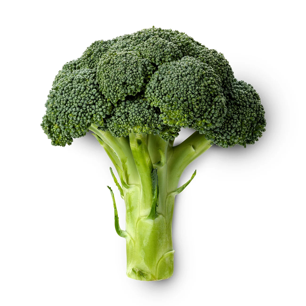 Broccoli 0.5kg