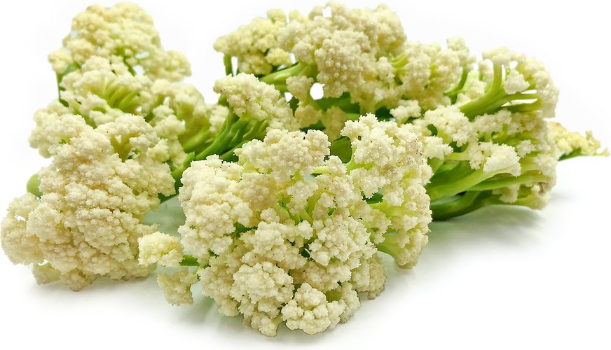 Fioretto Cauliflower 0.5kg