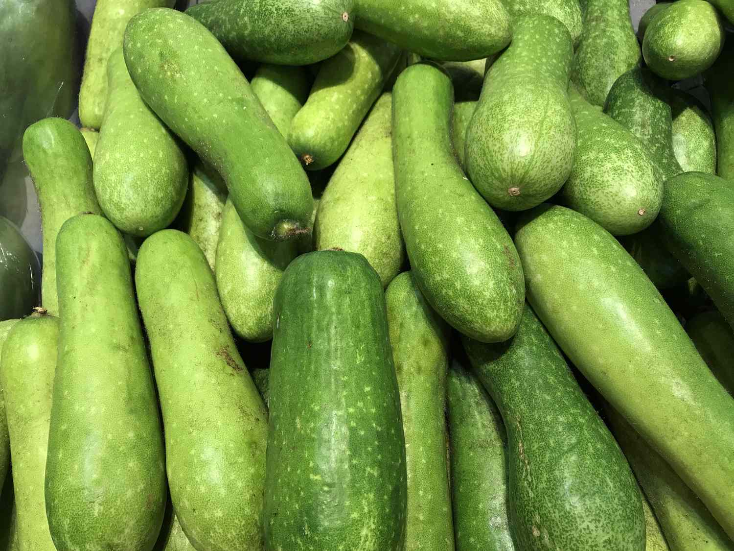 Hairy Melon 1kg
