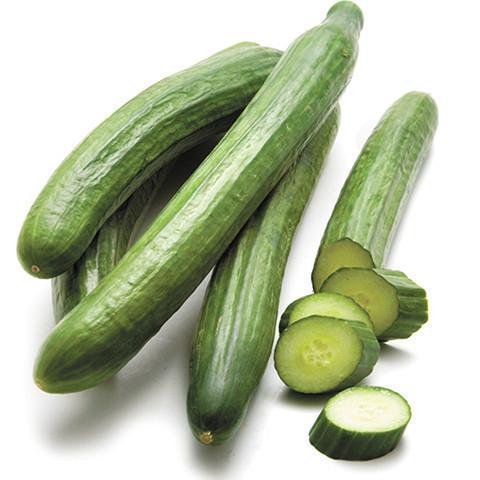 Cucumber Continental EACH