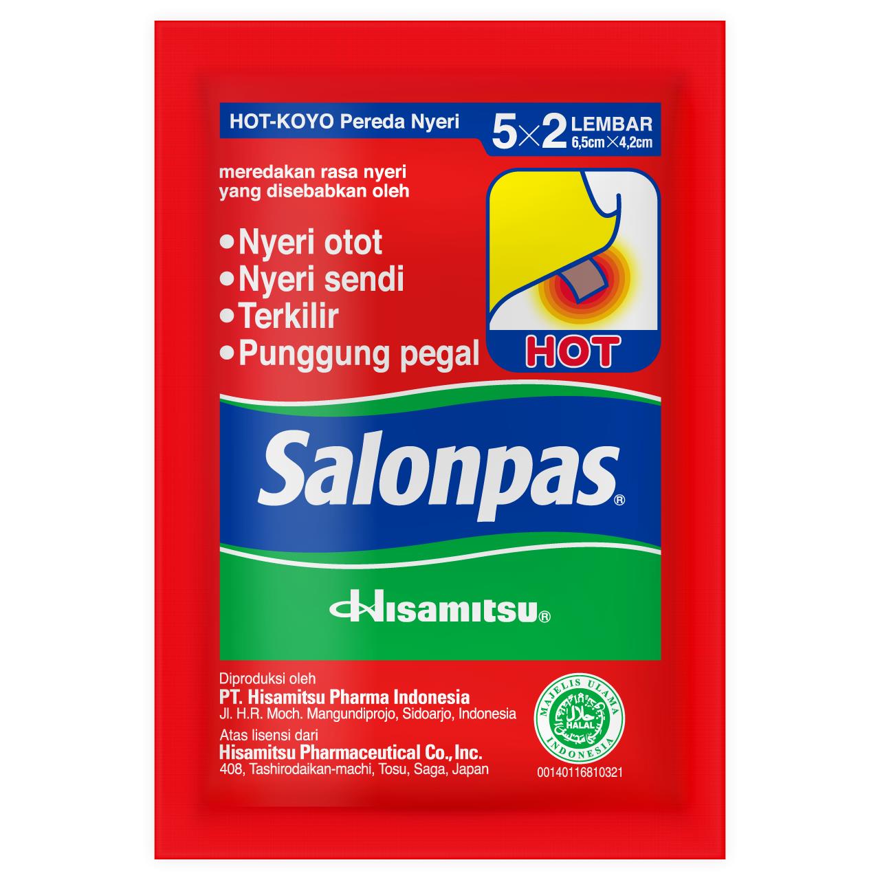 Hisamitsu Hot Salonpas Patches 10pc