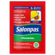 Hisamitsu Hot Salonpas Patches 10pc