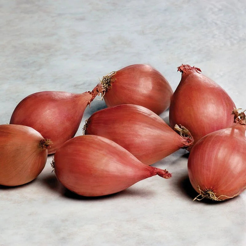 Shallots 0.1kg