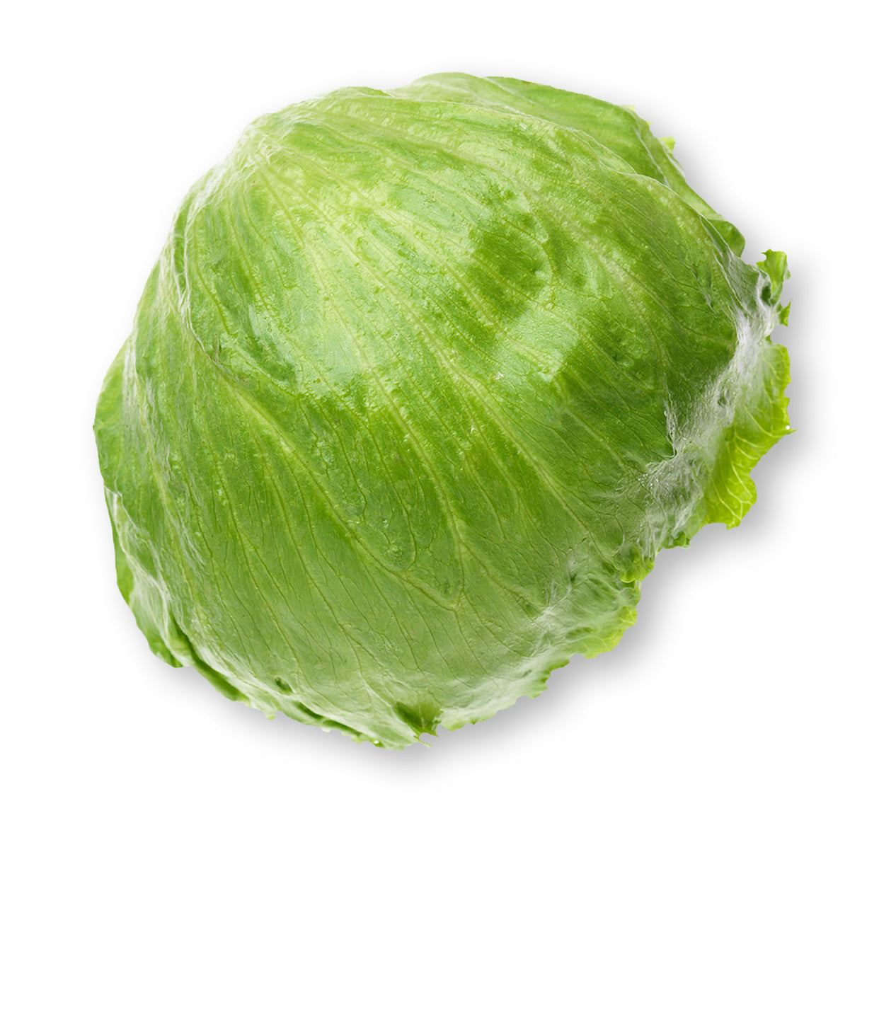 Iceberg Lettuce each