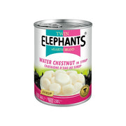 Twin Elephants Water Chestnut In Water 565g