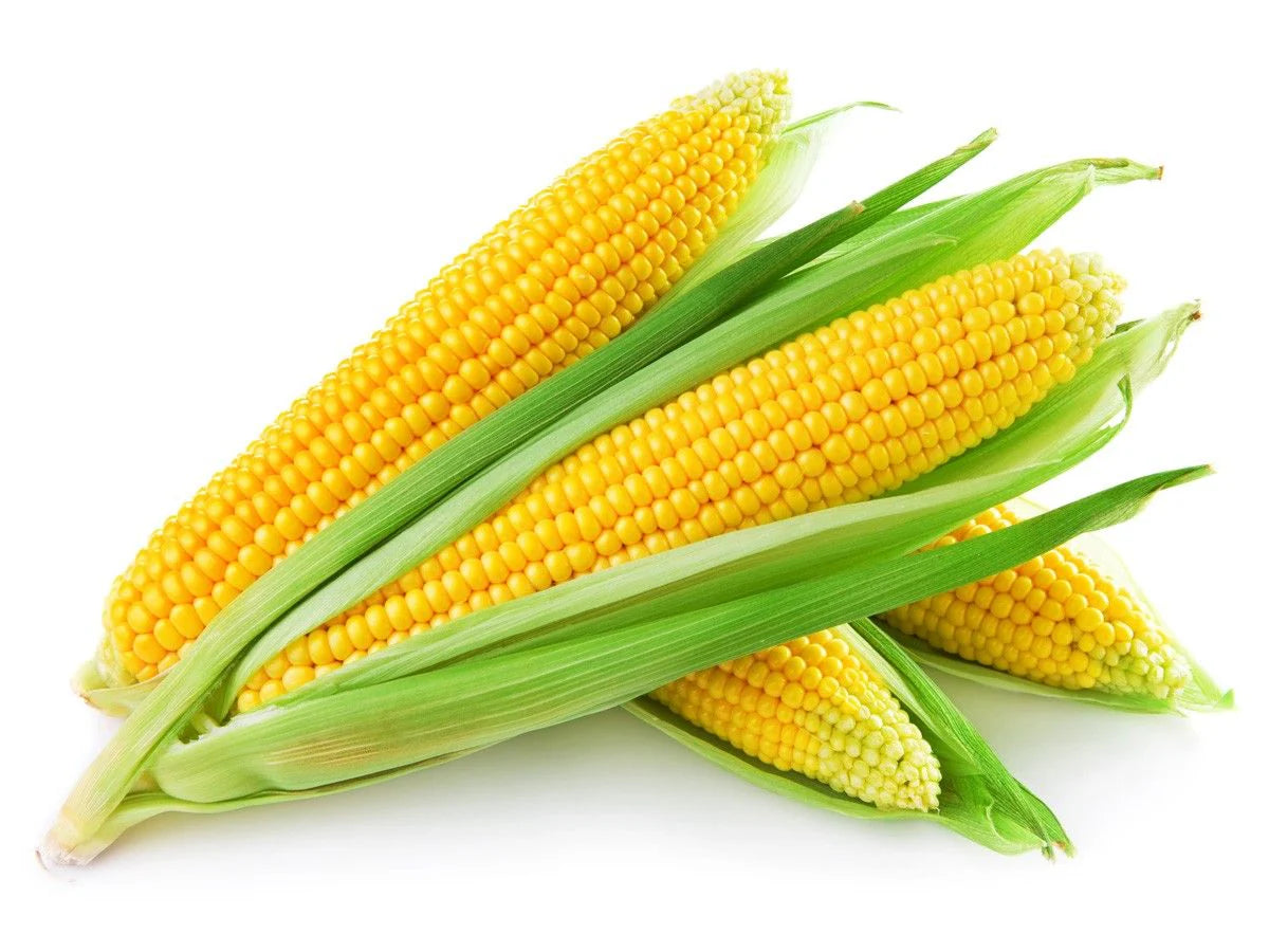 Sweet Corn EACH