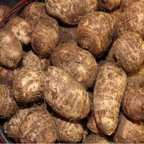 Small Taro 0.5kg