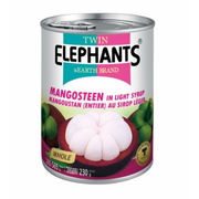 Twin Elephants Mangosteen in Light Syrup 565g