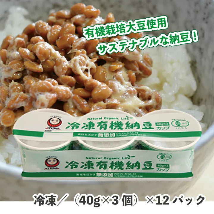 Azuma Frozen Fermented Soybean Cup 3pc