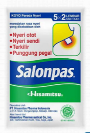 Hisamitsu Salonpas Patches 10pc